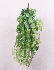 1.9Ft Artificial Hanging Green Creeper Plants Pack Of 2 - Image 2