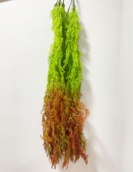 2.6Ft Artificial Hanging Green Creeper Plants Pack Of 2 - Image 2