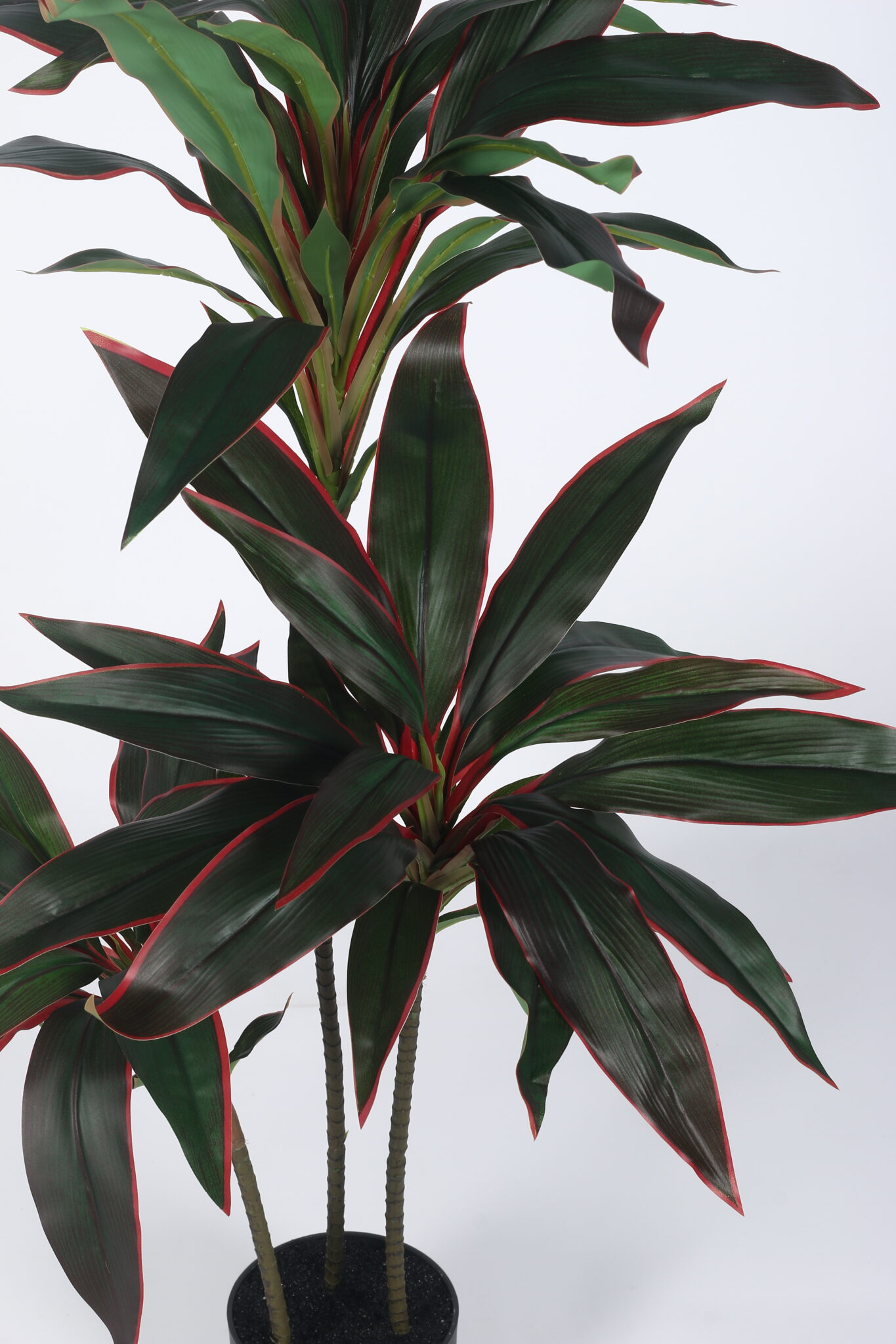 3.5Ft Artificial Dracaena Plants with Pot - Image 4