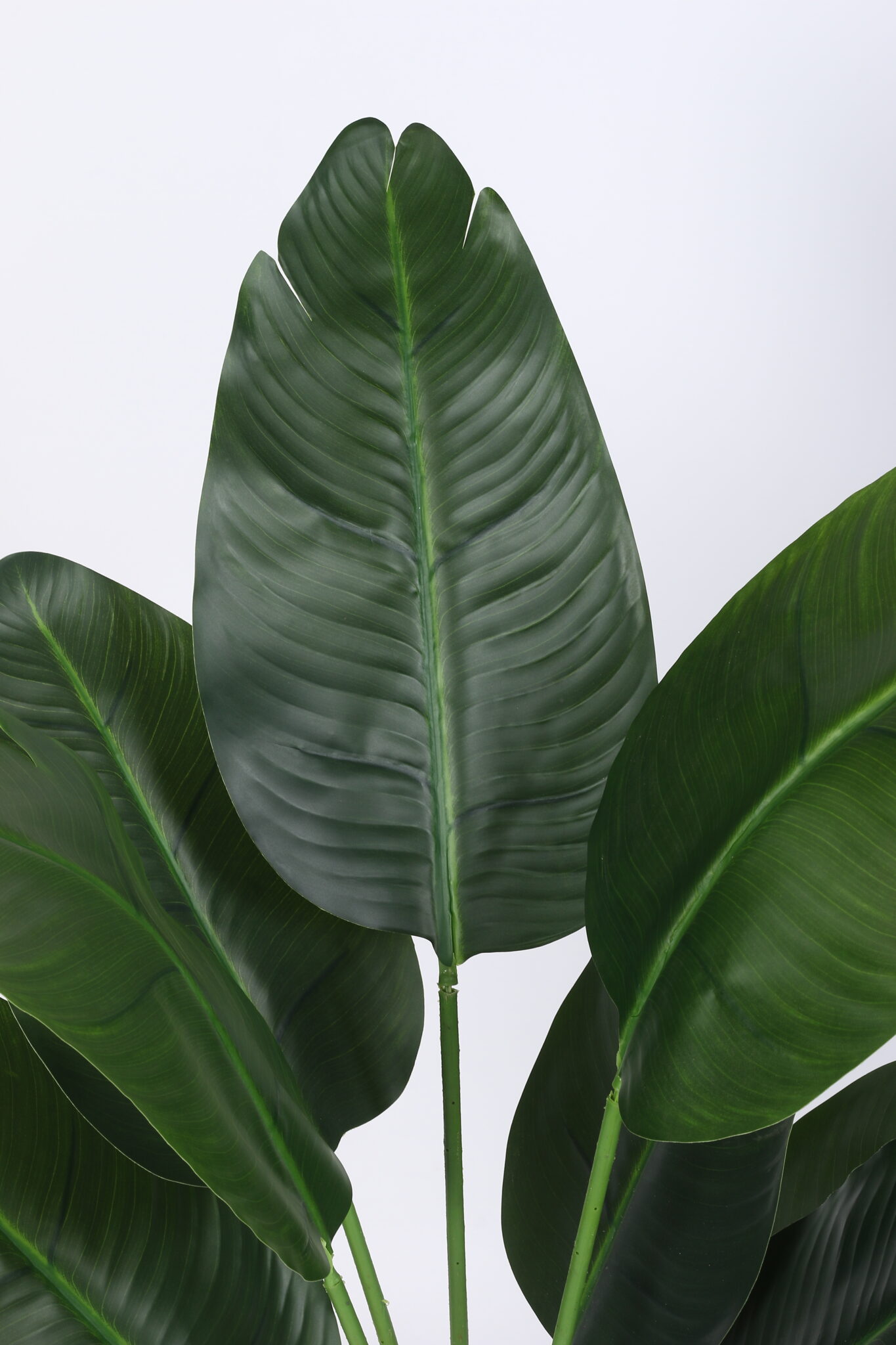 4Ft Artificial Banana Plants with Pot - Image 4