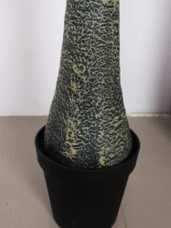 7.5Ft Artificial Yucca Palm Trees with Pot - Image 4
