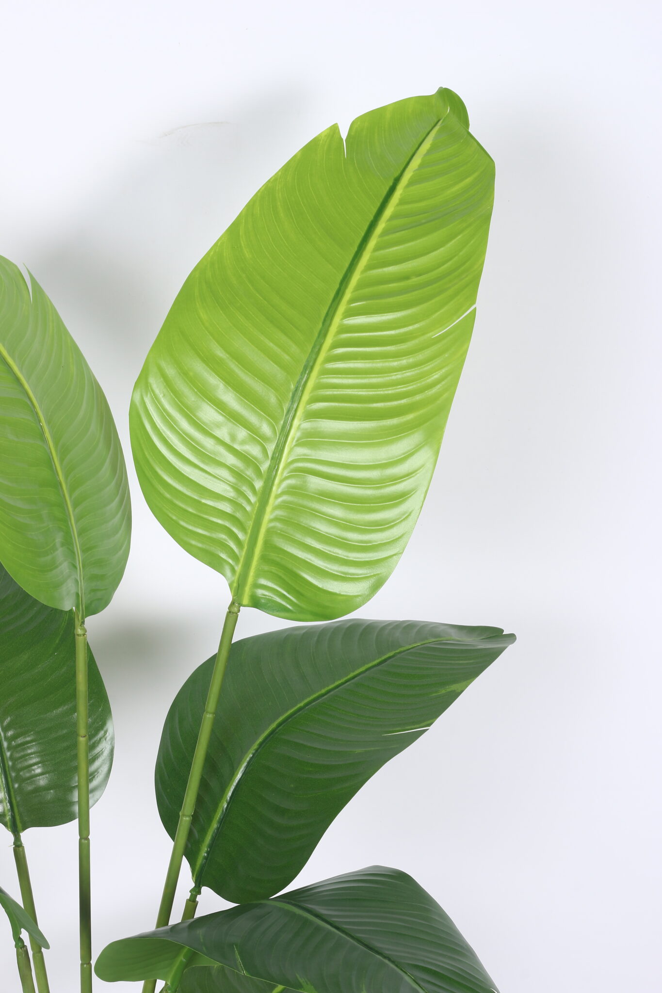 5Ft Artificial Banana Plants with Pot - Image 4