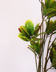 6.2Ft Artificial Yellow Iceton Croton - Image 4