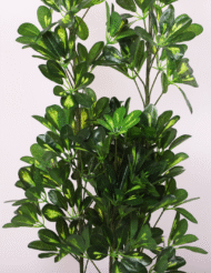 4Ft Artificial Schefflera Plant Trees with Pot - Image 4