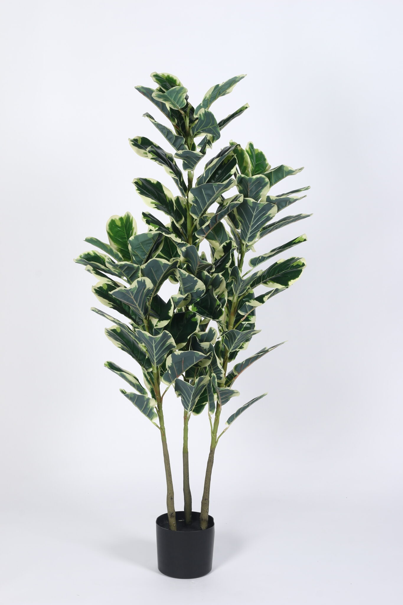 5Ft Artificial Variegated Fiddle Leaf Fig Plants with Pot - Image 5