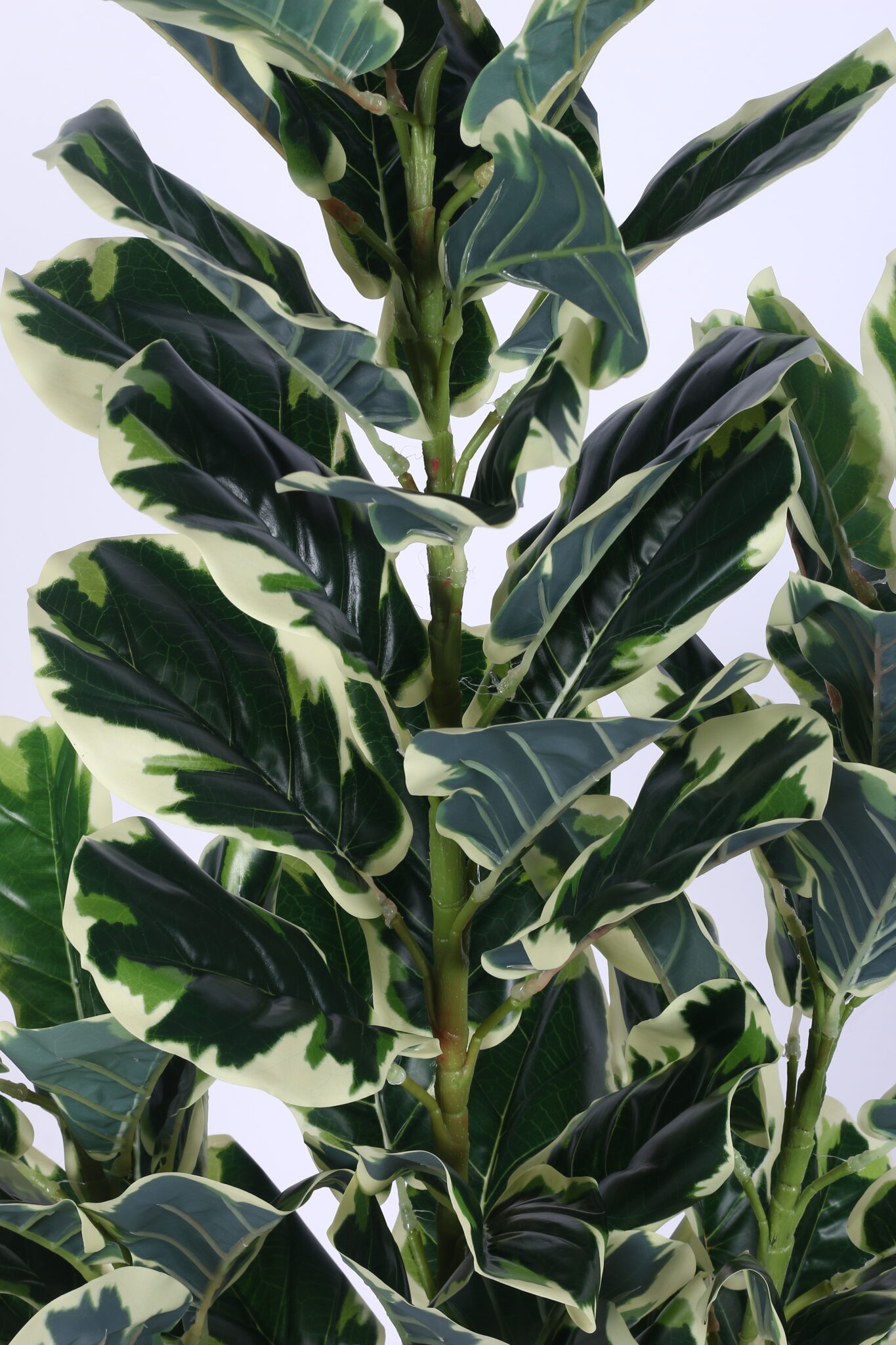 5Ft Artificial Variegated Fiddle Leaf Fig Plants with Pot - Image 6