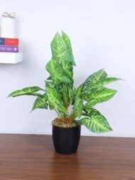 1.8Ft Artificial Caladium Potted Plant With Pot
