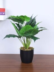 1.8Ft Artificial Money Potted Plant With Pot