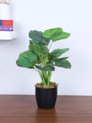 1.8Ft Artificial Money Monstera Potted Plant With Pot