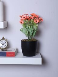 1Ft Artificial Dutch Daisy Flower Potted Plant With Pot
