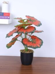 1.8Ft Artificial Rubber Plant With Pot