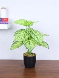 1.8Ft Artificial Dieffenbachia Plant With Pot