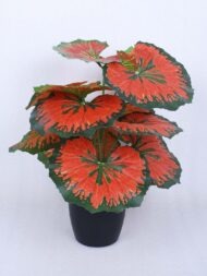 1.8Ft Artificial Rubber Plant With Pot - Image 2