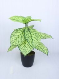 1.8Ft Artificial Dieffenbachia Plant With Pot - Image 2