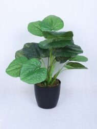 1.8Ft Artificial Money Monstera Potted Plant With Pot - Image 2