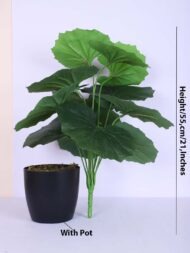 1.8Ft Artificial Rubber Plant With Pot - Image 3