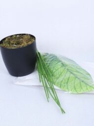 1.8Ft Artificial Dieffenbachia Plant With Pot - Image 5