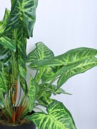 1.8Ft Artificial Caladium Potted Plant With Pot - Image 5
