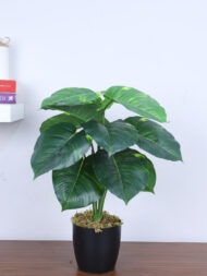 1.8Ft Artificial Money Plant With Pot - Image 2