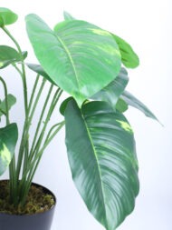 1.8Ft Artificial Money Plant With Pot - Image 4